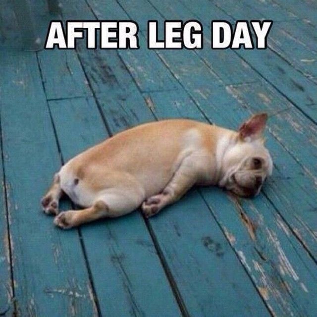 after leg day meme.jpg