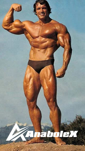 Arnold Schwarzenegger  Success life.jpeg