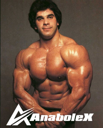 lou ferrigno bodybuliding.jpg