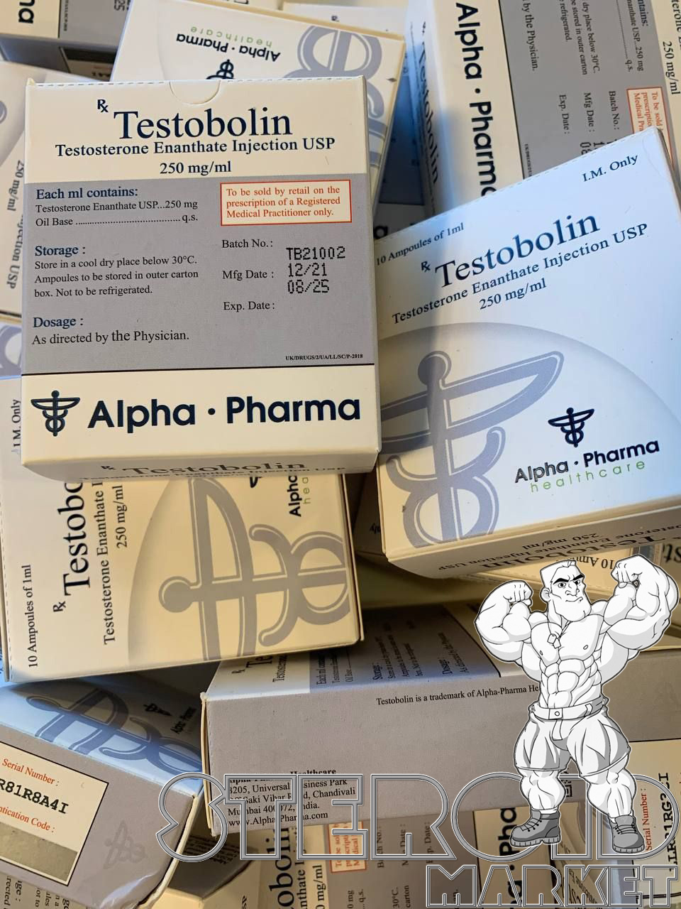 TESTOBOLIN-AMP.jpg