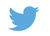 Twitter logo.jpeg