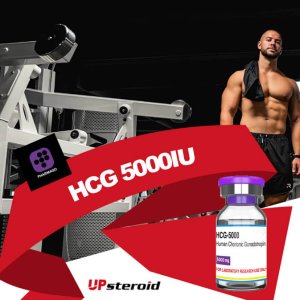 UP-weekly-hcg-5000iu-pharmaqo.jpg