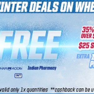 WINTER DEALS ON WHEELS 870x200.jpg