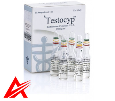 Buy original Alpha Pharma Testocyp (Testosterone Cypionate) 10amps 250mg/ml